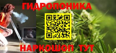 эйфоретик Краснодар