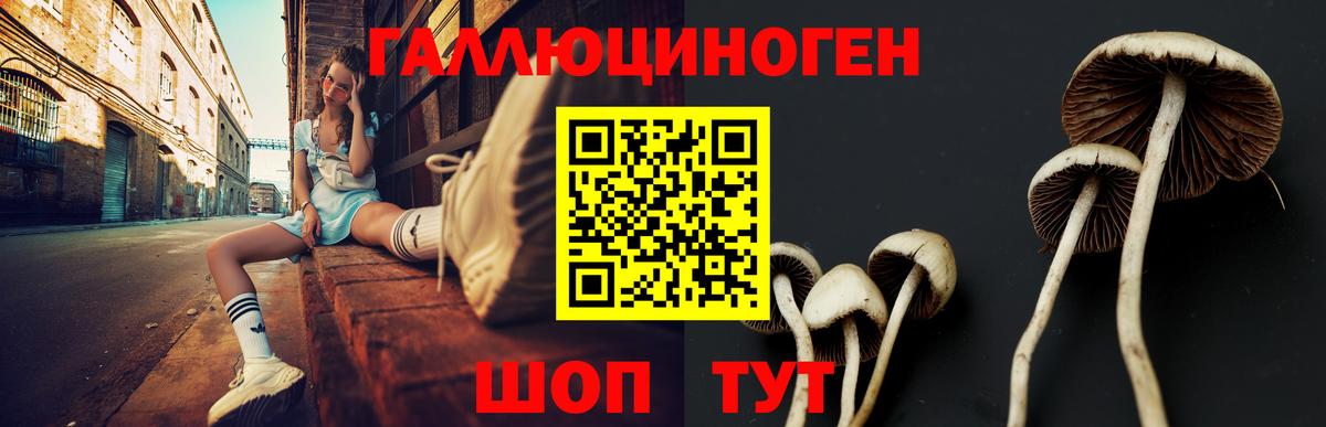 Псилоцибиновые грибы Magic Shrooms Шали